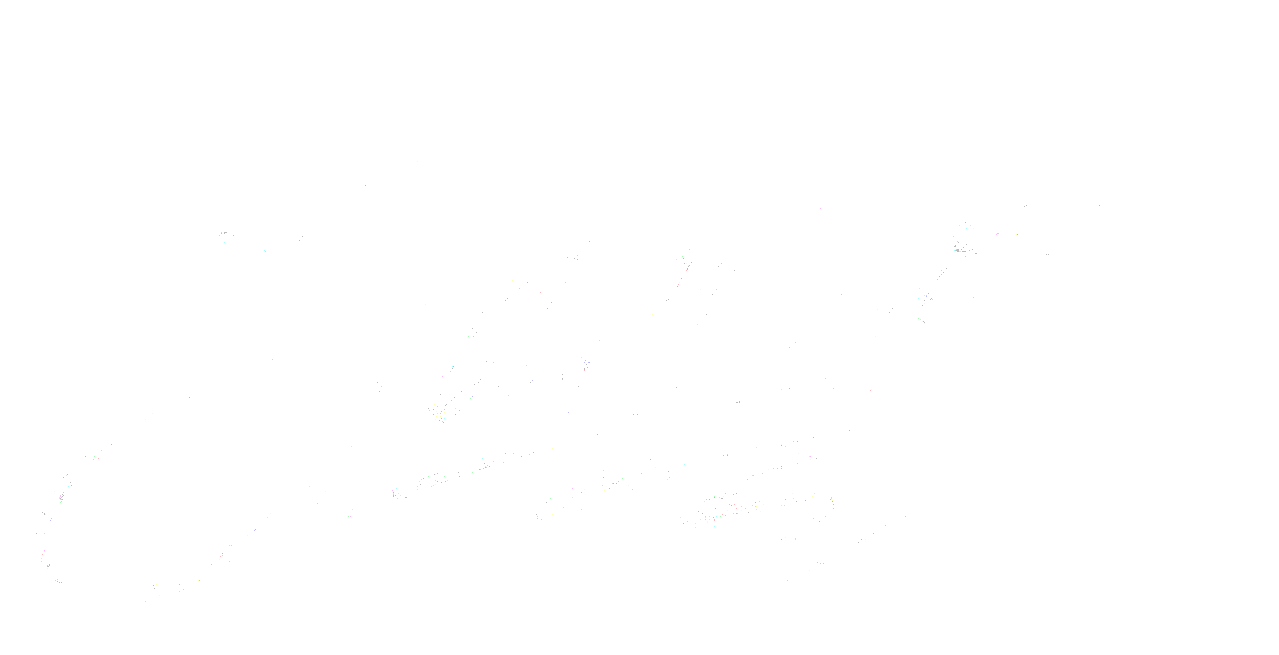 Signature de Quentin Janeiro